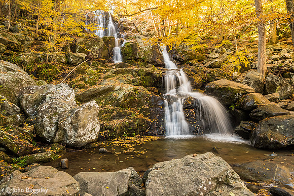Falls Under a Golden Canopy