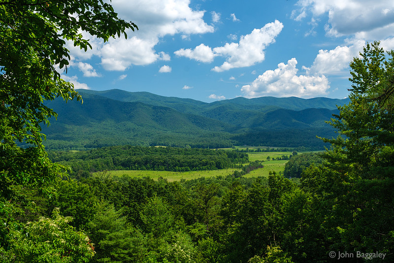 Cades Cove Vista