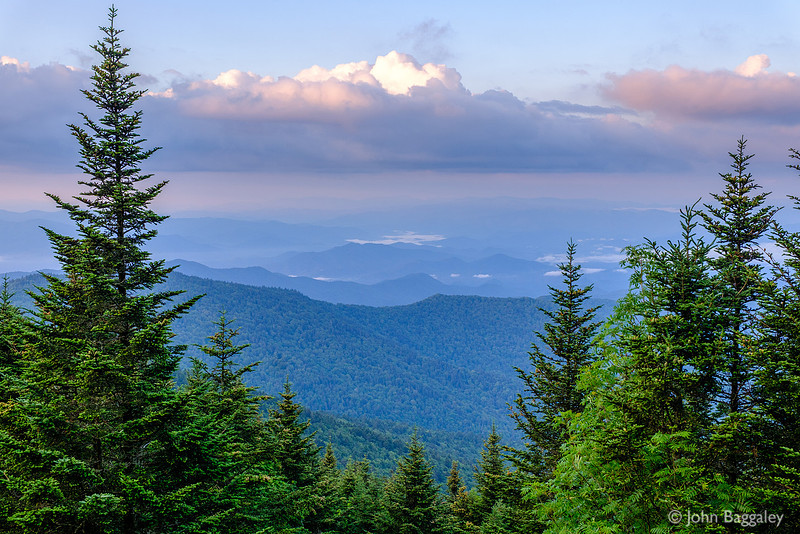 Summer Morning in the Great Smokies