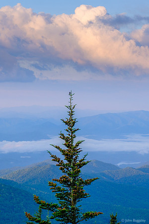 Watching the fog dissipate