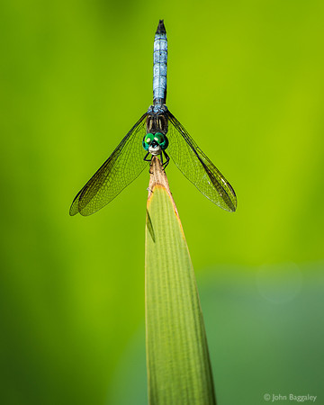 Balancing on the edge