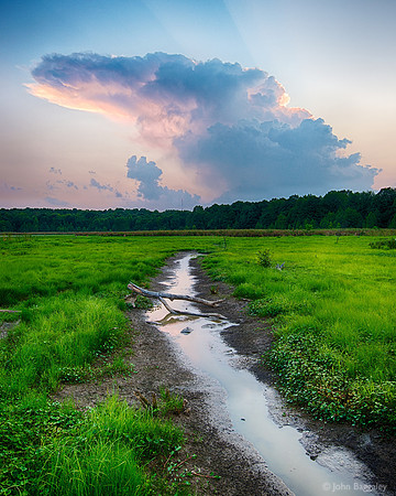 Sunset at Huntley Meadows