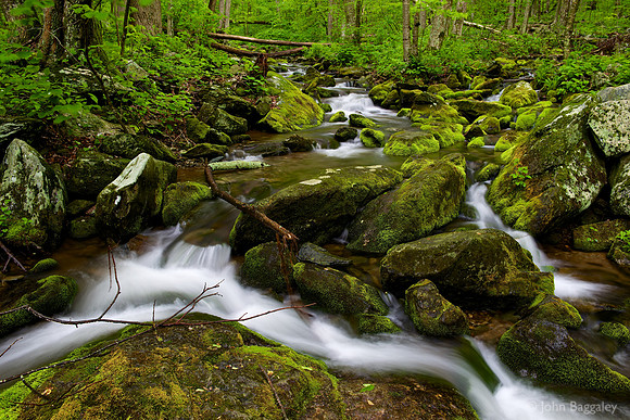 Mossy river