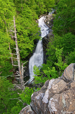 Whiteoak Canyon Falls
