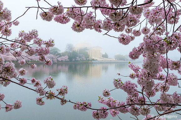 A touch of pink around a foggy memorial