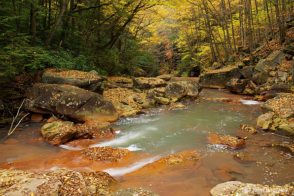 Autumn in West Virginia