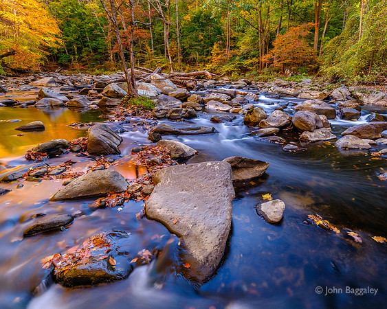 Color at Rock Creek