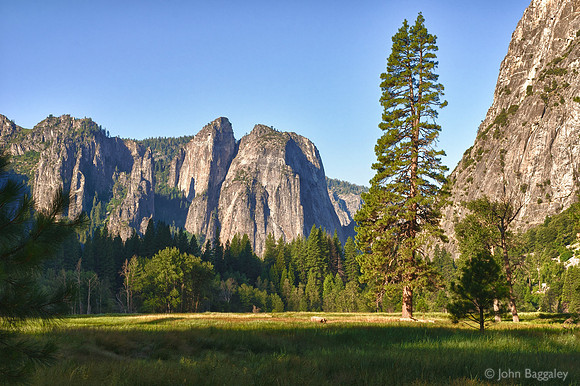 Morning in Cook's Meadow