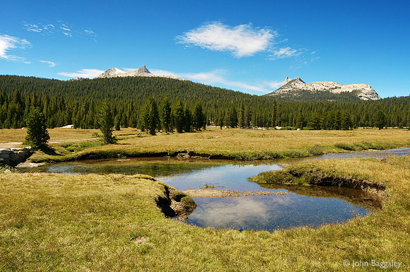 Tuolumne Meadows