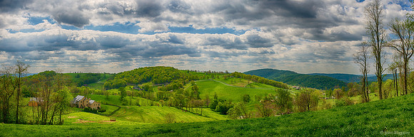 Pastoral Virginia
