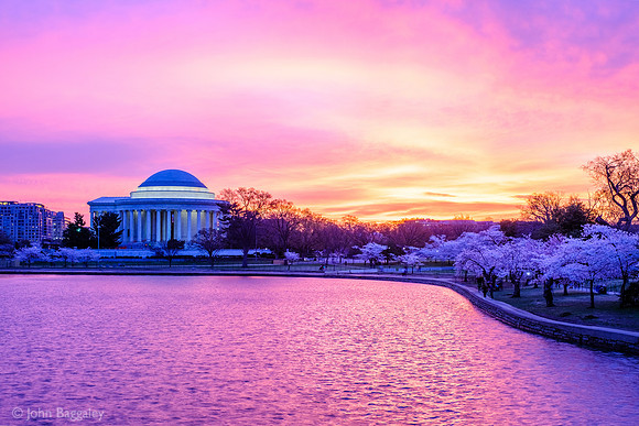 Spring Sky and Blossoms at the Tidal Basin
