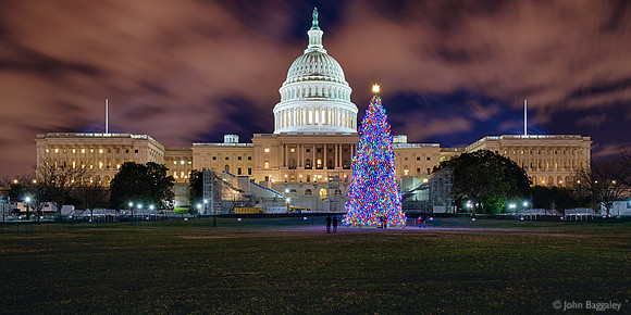 U.S. Capitol Christmas Tree 2