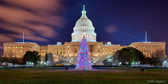 2012 Capitol Christmas Tree