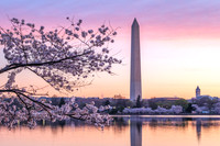 Springtime Dawn at the Tidal Basin