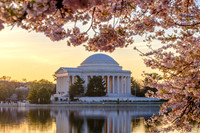 Morning Light Kissing the Monuments and Blossoms