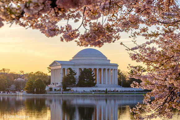 Morning Light Kissing the Monuments and Blossoms