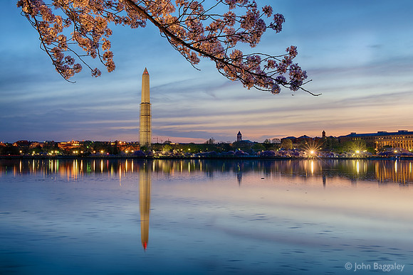Dawn, Cherry Blossoms, and the Washington Monument