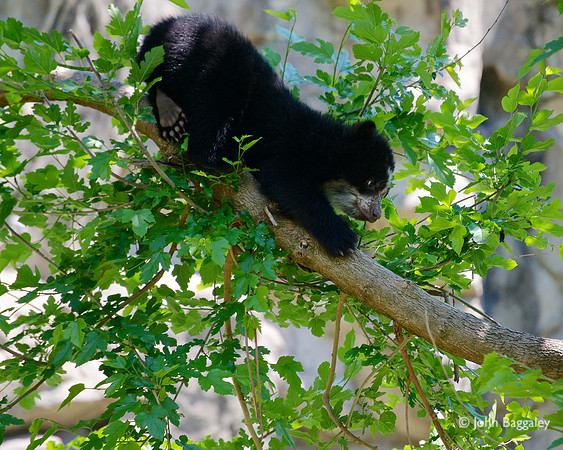 How do I get down again?