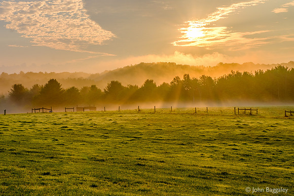 Mist and Pasture