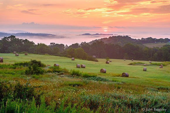 Summer Sunrise on the Farm 2