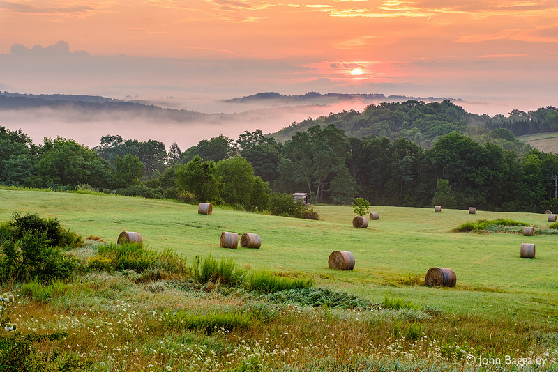 Summer Sunrise on the Farm
