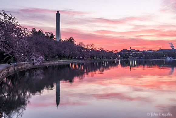 Pink Rising Over Washington