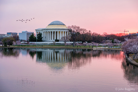 Pink Tidal Basin Sunrise