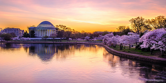 Spring dawn at the Tidal Basin