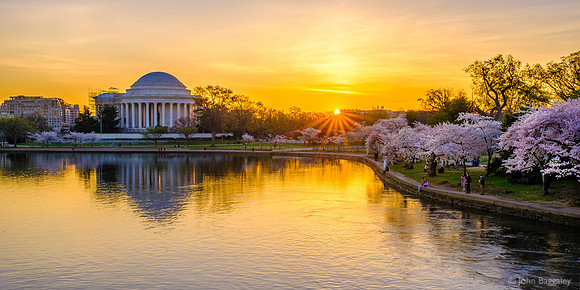 Spring sunrise at the Tidal Basin