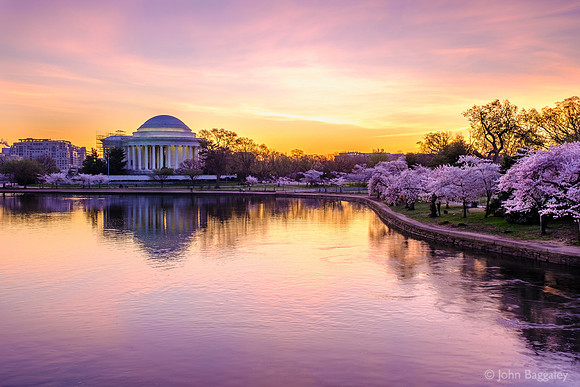 Spring dawn at the Tidal Basin