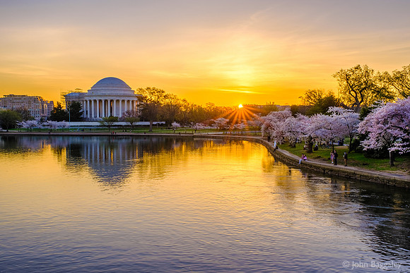Spring sunrise at the Tidal Basin