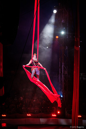 Red Queen 1