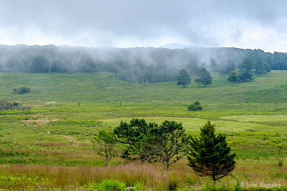 Low Clouds Over Big Meadows