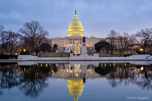Nightfall on the 2017 Capitol Christmas Tree