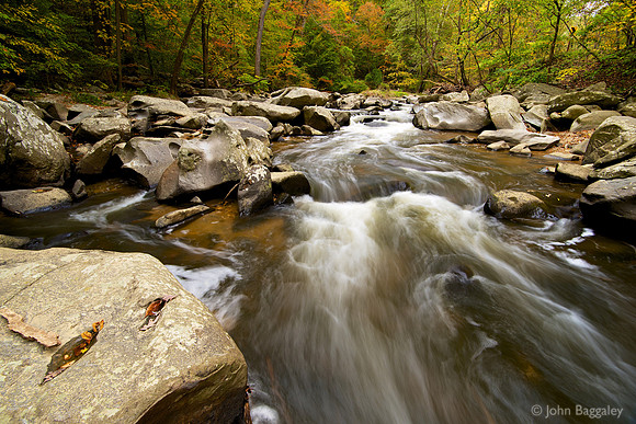 Fall Color at Rock Creek