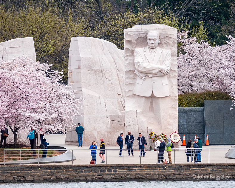 Springtime at the Martin Luther King Jr. Memorial