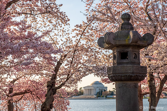 Japanese Tea Lantern at the Tidal Basin