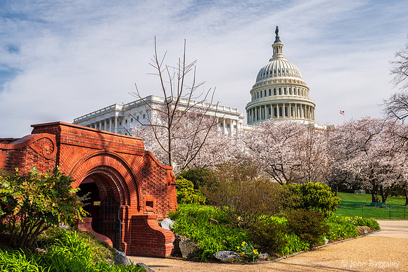 Springtime at the Capitol
