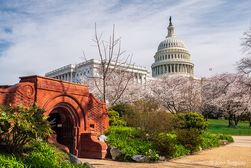 Springtime at the Capitol