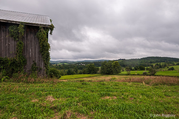 Heavy Clouds and Barn with Ivy