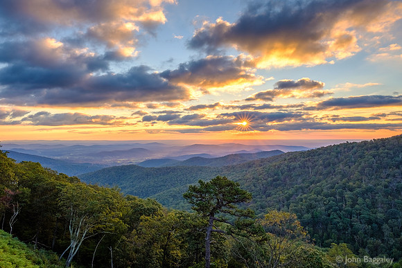 Green Autumn Sunrise