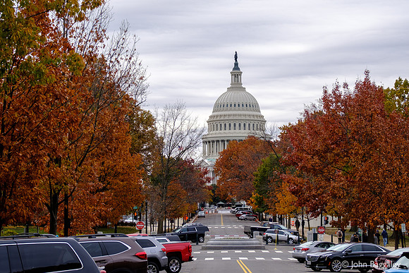 Fall color at the Capitol 1