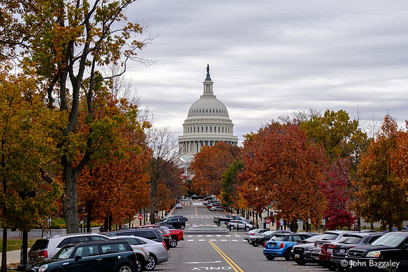 Fall color at the Capitol 2