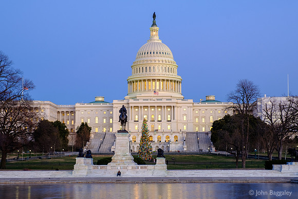 2018 Capitol Christmas Tree v2