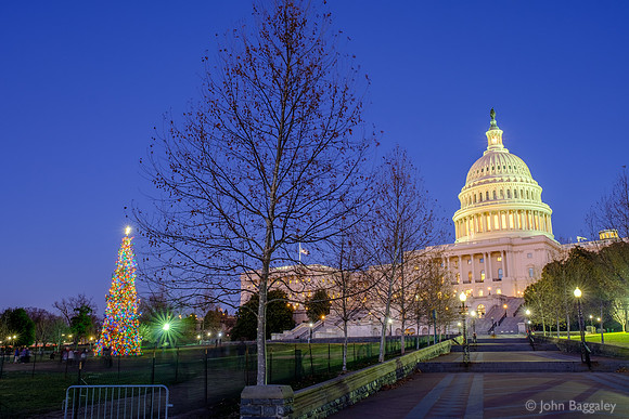 2018 Capitol Christmas Tree