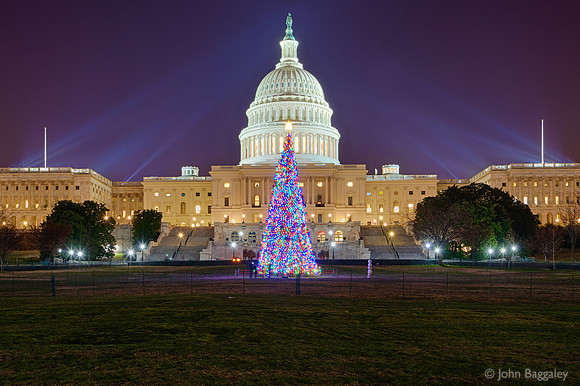 2013 Capitol Christmas Tree