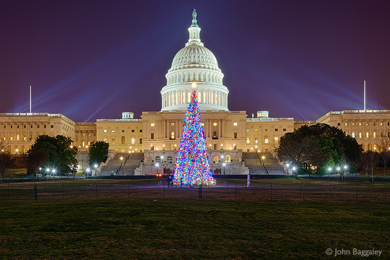 2013 Capitol Christmas Tree