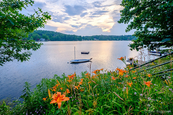 Lake flowers