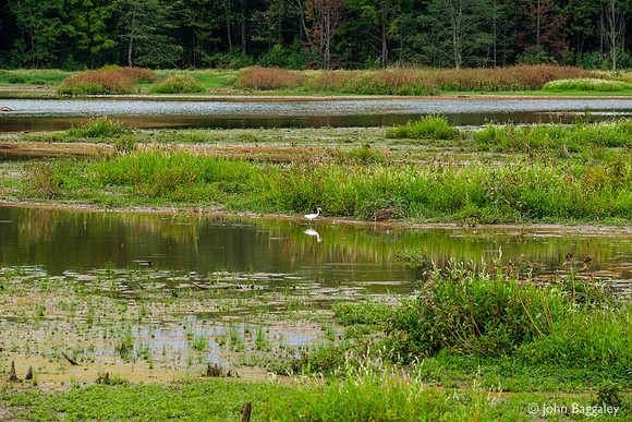 Huntley Meadows