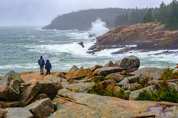 Watching the Waves in Acadia